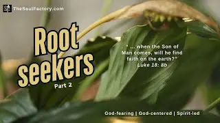 Root Seekers - Part 2