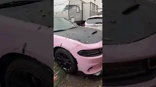 Розовый Charger и K5, в какой цвет мне обклеить K5? #cargirls #carvids02 #pinkcar #dodgecharger