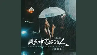 风雨中等你的人 (Dj京仔粤语金曲版)