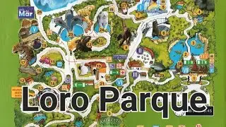 Walking Around Loro Parque Tenerife December 2025