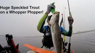 Guana Lake Gator Trout on a Whopper Plopper!