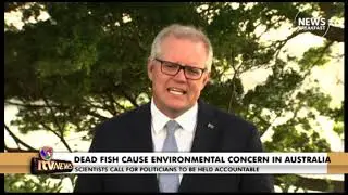 MILLION DEAD FISH CAUSE ENVIRONMENTAL CONCERN IN AUSTRALIA