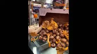 Mushroom - The Culinary Institute of America
