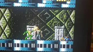 Battletoads and Double Dragon