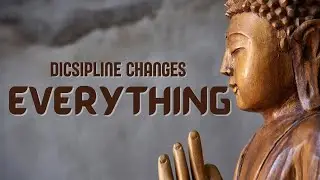 Stop Begging for Motivation | Discipline Will Change Your Life
