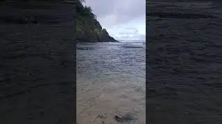 Heceta Head Lighthouse | The Mountain Brook embraces the Pacific Ocean | 5 stars