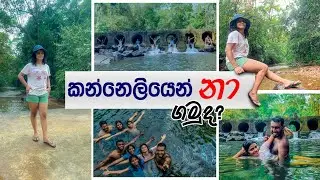 කන්නෙලිය | Kanneliya, Sri lanka
