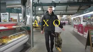 Axo the German Shepherd - Family protection Dog