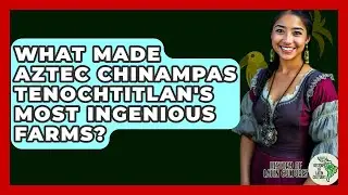 What Made Aztec Chinampas Tenochtitlan's Most Ingenious Farms? - History Of Latin Cultures