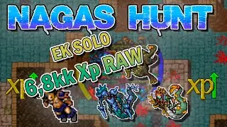 NAGAS HUNT EK SOLO( 10,2kk Xp/h na 150% Axe) Recomendado 600+
