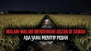 CERITA HOROR:MALAM-MALAM MENDENGAR ADZAN DI SAWAH, ADA YANG MENITIP PESAN &ndash; cerita horor religi