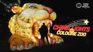 CHINA LIGHTS | Zoo Cologne | 2024-2025