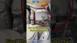 No sound from car horn? Just replace the spare fuse！#driving#drive#car #carsoft#tips#tutorial#manual