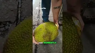 mrbeast Giant Jackfruit  Exploring Southeast Asian Markets asmr ishowspeed linkin park