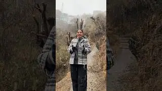 Kufri Shimla today live snowfall | Shimla snowfall today | shimla weather today | #shimla #snowfall