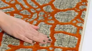 Light Grey & Orange Porcello Rug by Safavieh - PRL7737F
