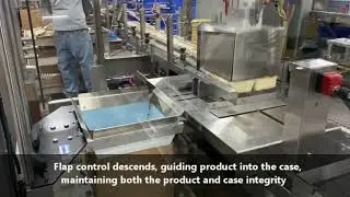 Alphapack | Automatic Case Packaging Tofu With Optional Hand Pack Station