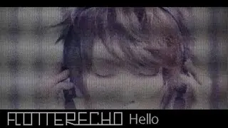 Flutter Echo - Hello - (Official Video)