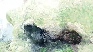 Priest's Hole North Antrim.