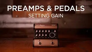 Preamps & Pedals | Setting Gain