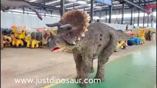 4legs costume