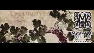 Eve Bushman Consulting - Clients and Campaigns