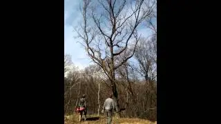 New appretiation for Ax Men.