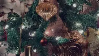 An AsToldByTaylorMB Christmas 2020 - Magnolia Tree