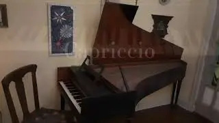 Capriccio for Harpsichord ~ Rick Shelley