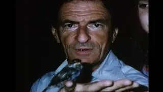 Jerzy Kosinski ,  THE PAINTED BOY - 1995 /English version
