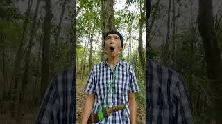 Forest Survival Hideout #entertainment #birdsounds #shorts #camping #survival