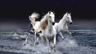 Music for the soul Just relax, Wild horses, Steppe.Успокаивающая  Музыка для Сна и релаксации.