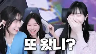 왜 나한테 이런 얘들(?)이 모이는거지