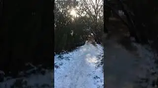 West Hendon Winter Walk