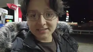 THE POLISH NEW YORK EXPERIENCE