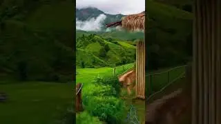 Idyllic countryside landscape #relaxing #nature #viralvideo #countryside #scenery #beautiful