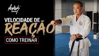 CONSCI&Ecirc;NCIA NO MOVIMENTO - KARATE RAIZ | Helio Arakaki Sensei