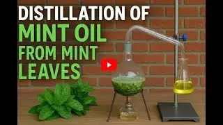 Distillation of Mint Oil from Mint Leaves | Department of Chemistry | VPTC | #viral #subscribe