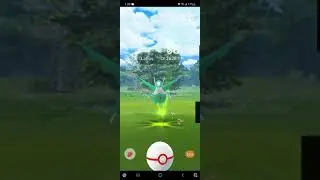 POV: You Got shiny first try.. again