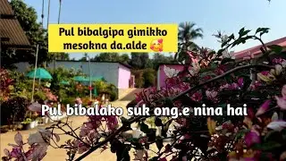 Pul bibalako suk ong.e nina hai | Bougainvillea Garden 
