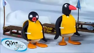 Pingu and Teamwork 🐧 | Pingu - Official Channel | Cartoons For Kids