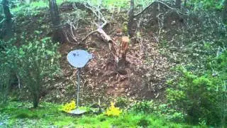 Exploding target ak-47