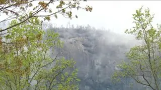 Debris from Hurricane Helene 'magnified' Carolina wildfires: 'A lot of dry wood on the ground'
