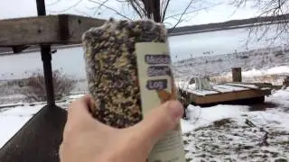 How to Replace Your Bird Seed Log