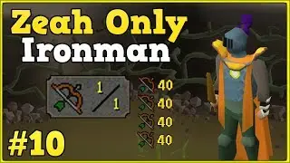 30k xp/hr at level 1 Range - Zeah only ironman #10