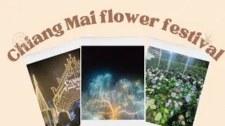 Chiang Mai flower festival 2026 vlog 💐🌸🌷🎆