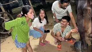 Gaay 🐄 ke doodh se sabko nehla diya 😅