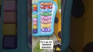 Sa re ga ma pa...on xylophone cover with notes keys #shortvideo #shorts #musicalnotes #xylophone