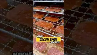 We Made Bacon Spam into Jerky
