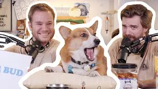 The Dog Episode (Feat. Josh's Corgi, Kevin) | Your 3rd Favorite Podcast (Episode #7)